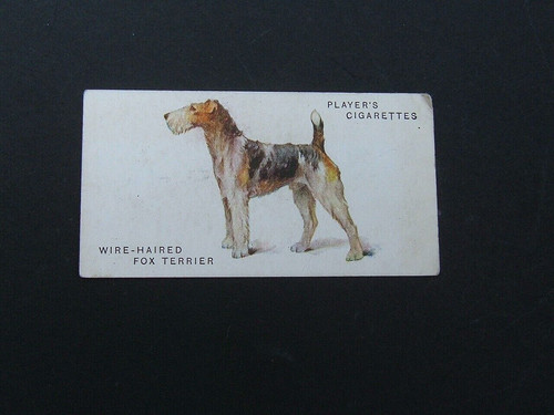 John player dogs full - player's, (full
