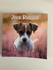 Jack Russell Puppies - Old 2024 Calendar