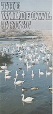 Leaflet wildfowl trust 1995 - leaflet, c