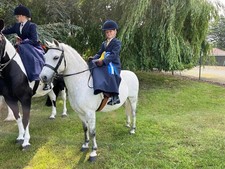 Navy Child's Side Saddle Habit