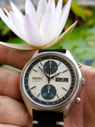 Vintage seiko panda - seiko,