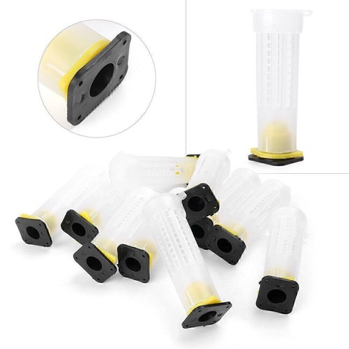 Beekeeping rearing cup - beekeeping, kit