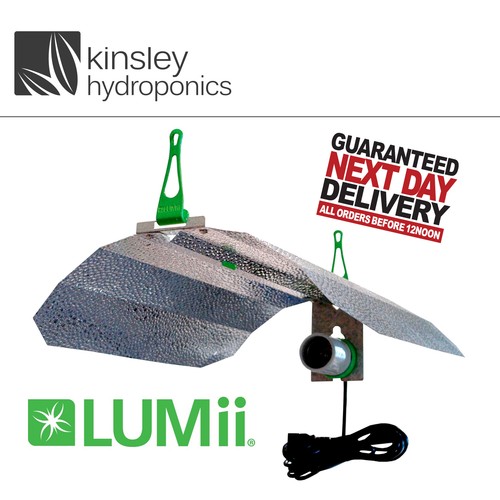 Lumii maxii e40 reflector 250w - e40,