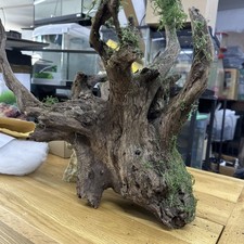 Gnarly scapers wood aquarium - gnarly,