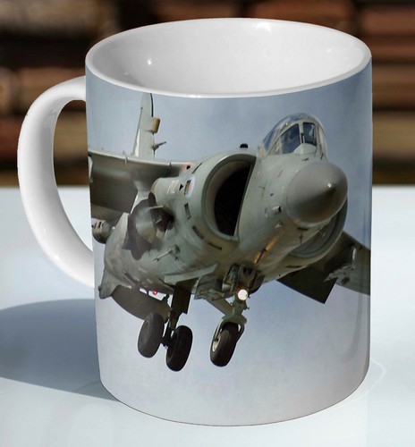 Harrier jump jet hovering - jump,