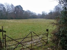 Photo 6x4 Field south of