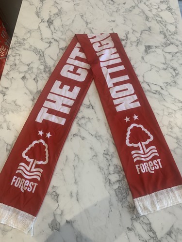 Nottingham forest the city - nottingham,