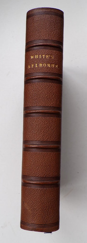 Gilbert white 1887 natural - white,