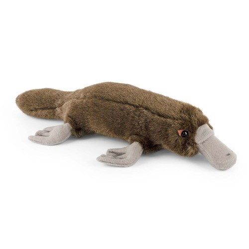Platypus plush soft toy animal - toy,