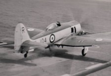 Military Aircraft Photograph Hawker Sea Fury (e19)