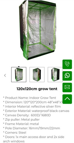 Green architecture 120x120x200 - green,
