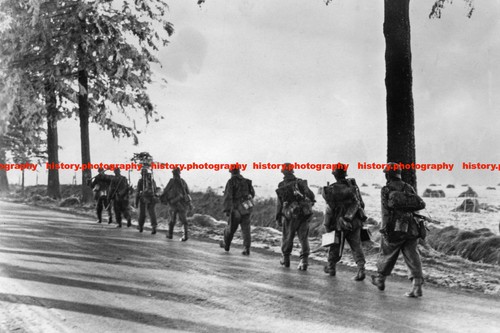 F029775 waffen grenadiers - f029775, ss