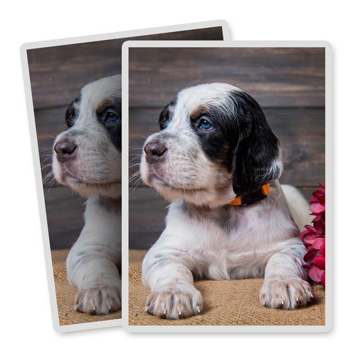 Vertical vinyl stickers - vertical,