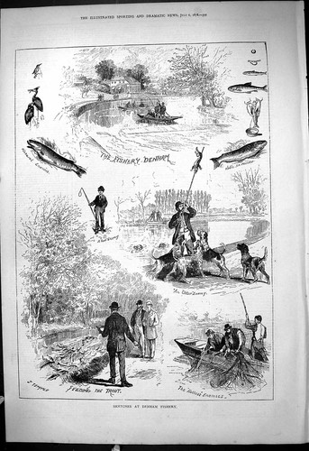 Antique old print - antique,