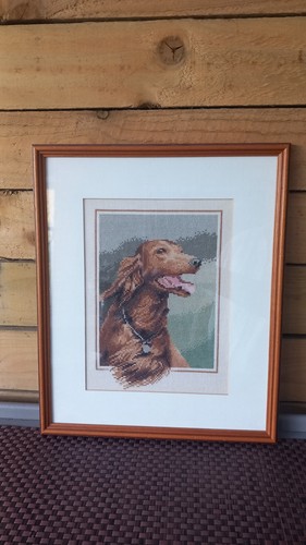 Vintage framed irish red - vintage,
