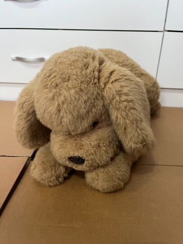 Debenhams beige puppy - puppy, dog
