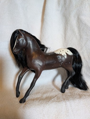 Appaloosa dressage horse - dressage,