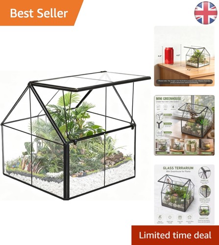 Lead free glass - lead-free, terrarium