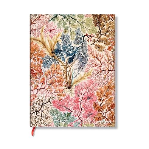 Paperblanks anemone william - anemone, (william