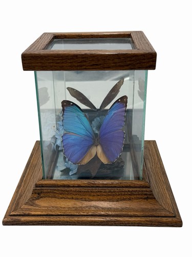 Vintage floral butterfly - vintage,