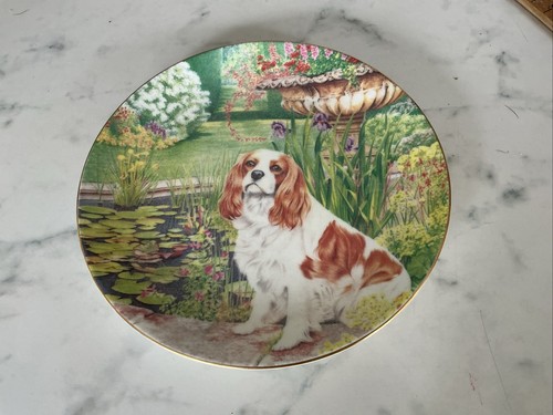 Coalport plate best - coalport,