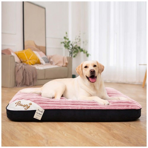 Extra large cat dog - extra,