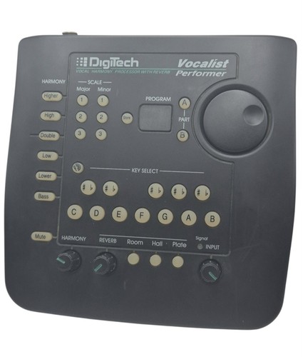 Digitech vocalist performer - vocalist,