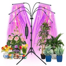 Grow Lights for Indoor Plants