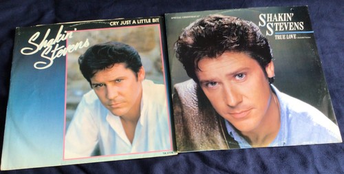 Shakin stevens 2 - shakin', epic