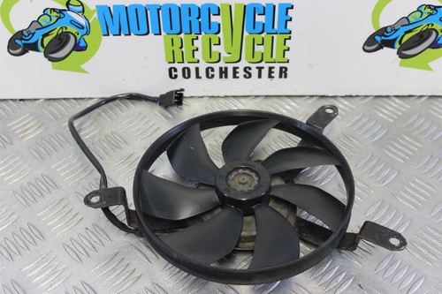 Kawasaki 1000 fan - 1000, 2017