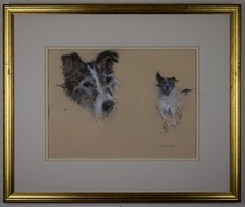Jack russell terrier - russell, original