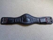 Albion Revelation Dressage