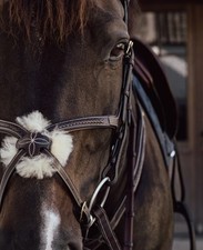 Dyon Noseband Figure 8 Plaited Grackle - Full size - Brown