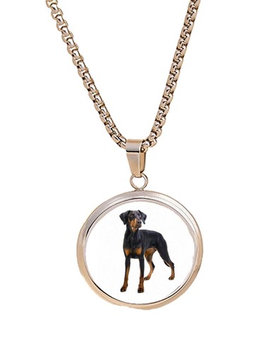 Doberman black dog pet - black,