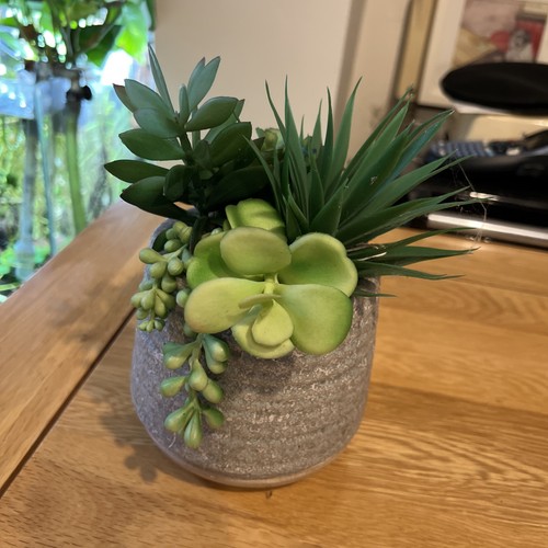 Green artificial succulent - artificial,
