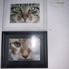 Cross stitch kit cats tess - cats,