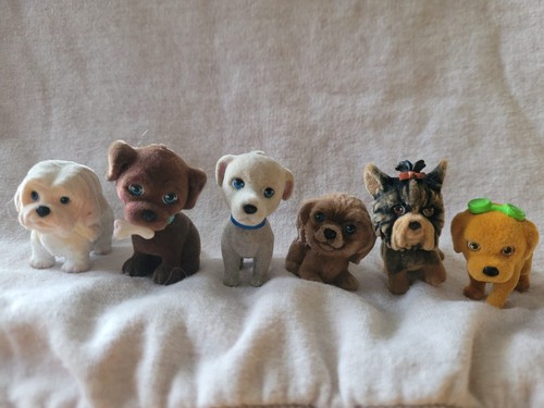 Puppy pocket lot - lot, of