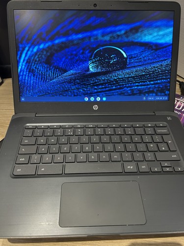 Chromebook 14in amd - chromebook,