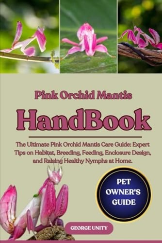 Pink orchid mantis - orchid,