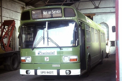 Provincial hoeford 1981 - provincial, no.