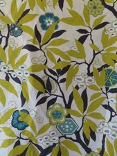 Sanderson 2m  Striking Vivid