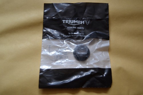 Genuine triumph bonneville - triumph,