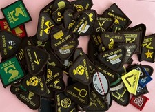 50 Plus Vintage Girl Guide Brownie Interest Badges