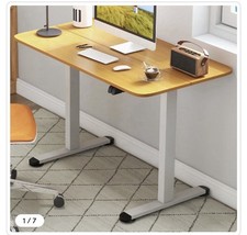 COSTWAY Electric Standing Desk