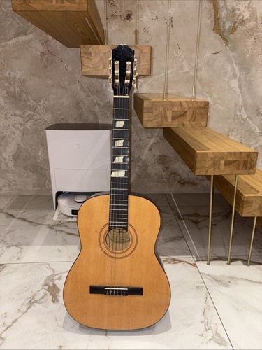Burswood acoustic guitar model - guitar,