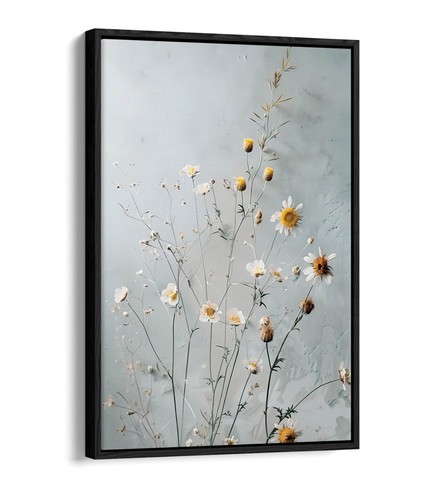 Delicate pretty daisy flowers - pretty,