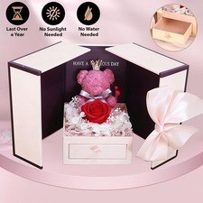 Preserved red rose moss - preserved,