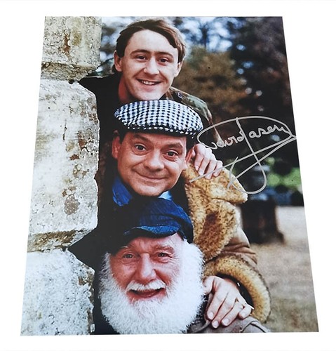 Only fools and horses david - and,