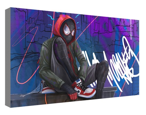 The spider verse shoes canvas - spider,