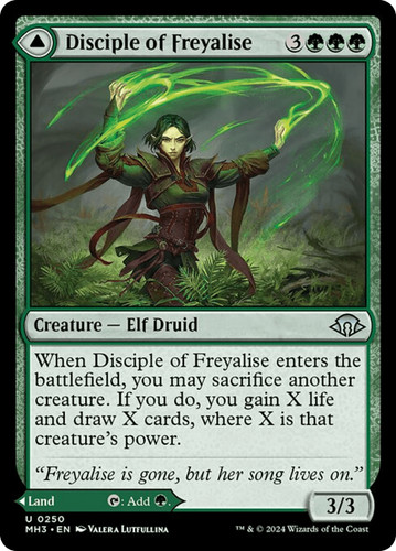 Disciple freyalise - disciple,